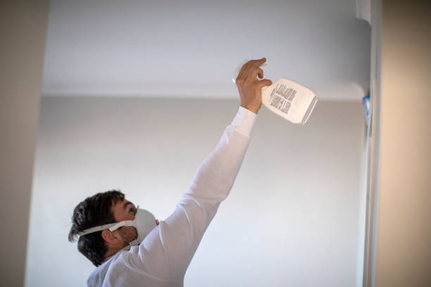 Reliable Pomona, NJ Mold Remediation Solutions